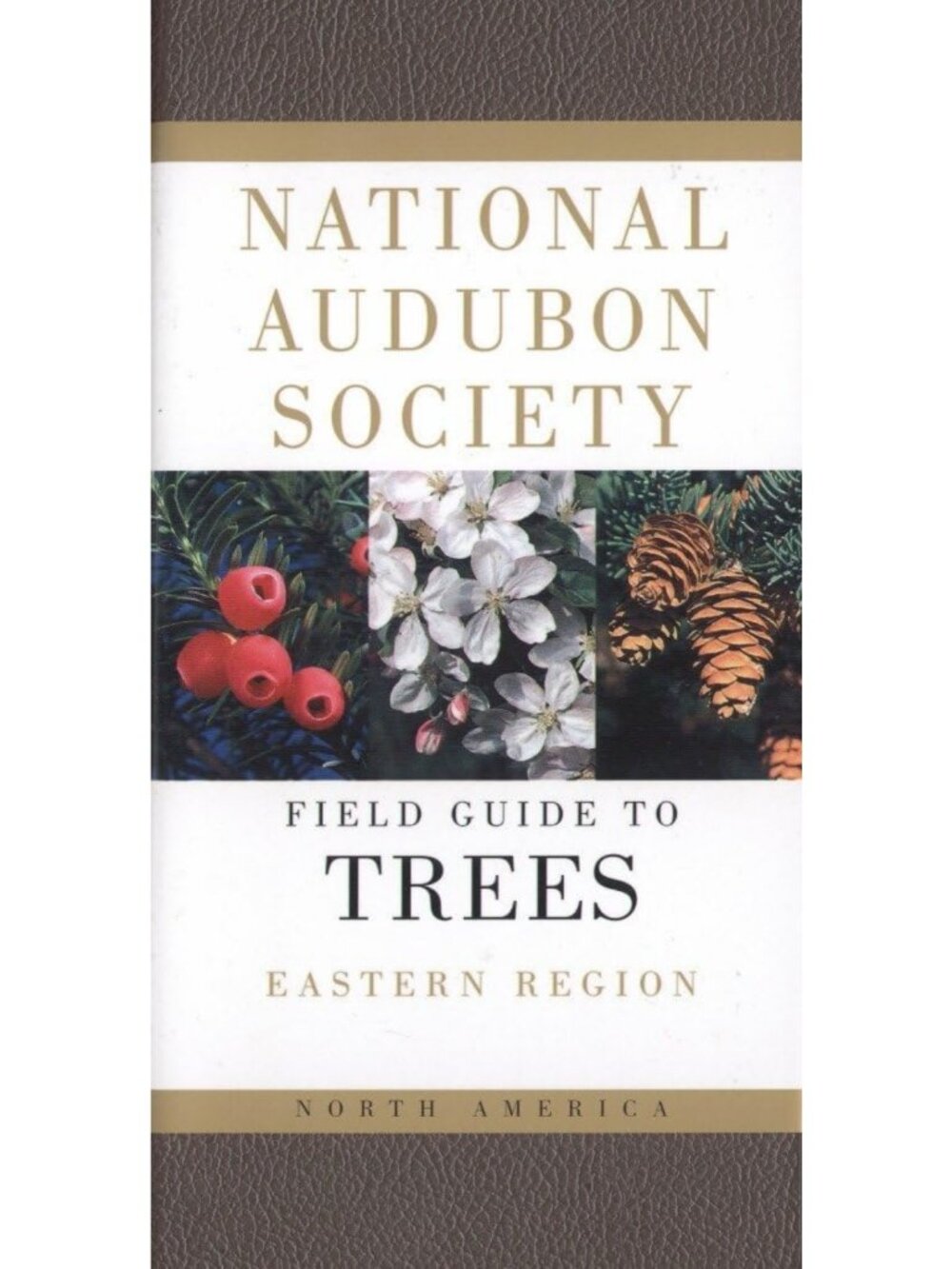 Comprehensive Field Guide to North American Trees - Eastern Region Edition